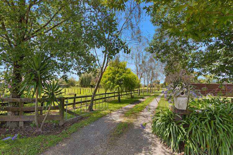 4 Hydro Road Edgecumbe_22