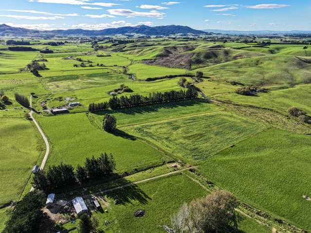 Dairy Grazing/Support Property