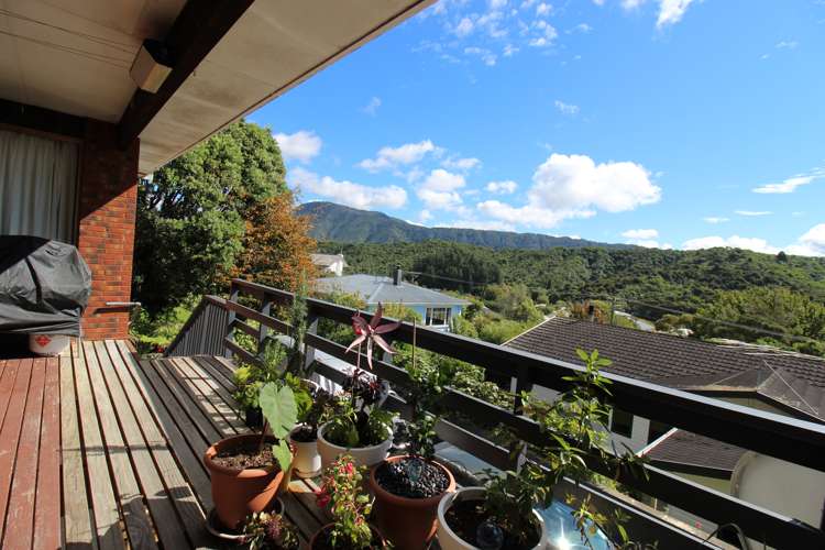 25a Leicester Street Picton_4