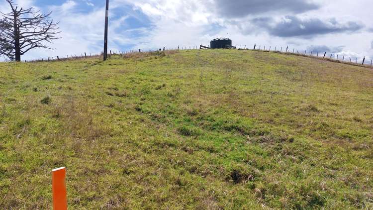 Wearmouth Road Paparoa_6