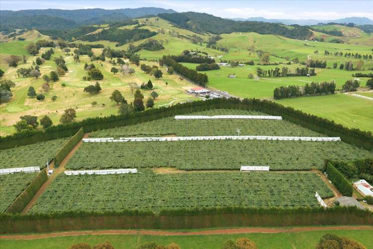 79 Woodlands Road Waihi Beach_19