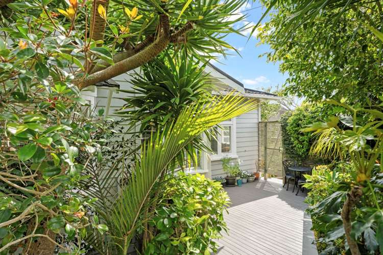 48 Meadowbank Road Meadowbank_13