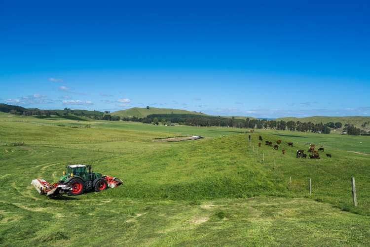 658 Tukairangi Road Kinloch_5