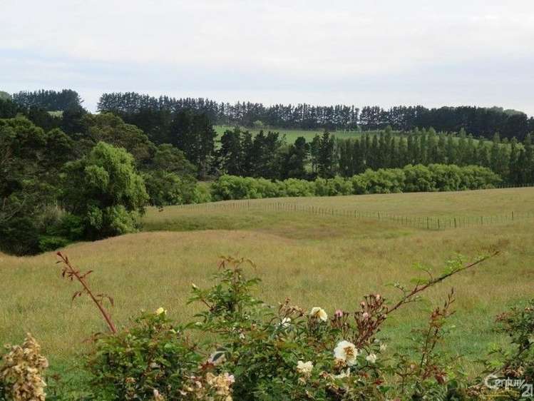 212 Wayside Road Te Kauwhata_16