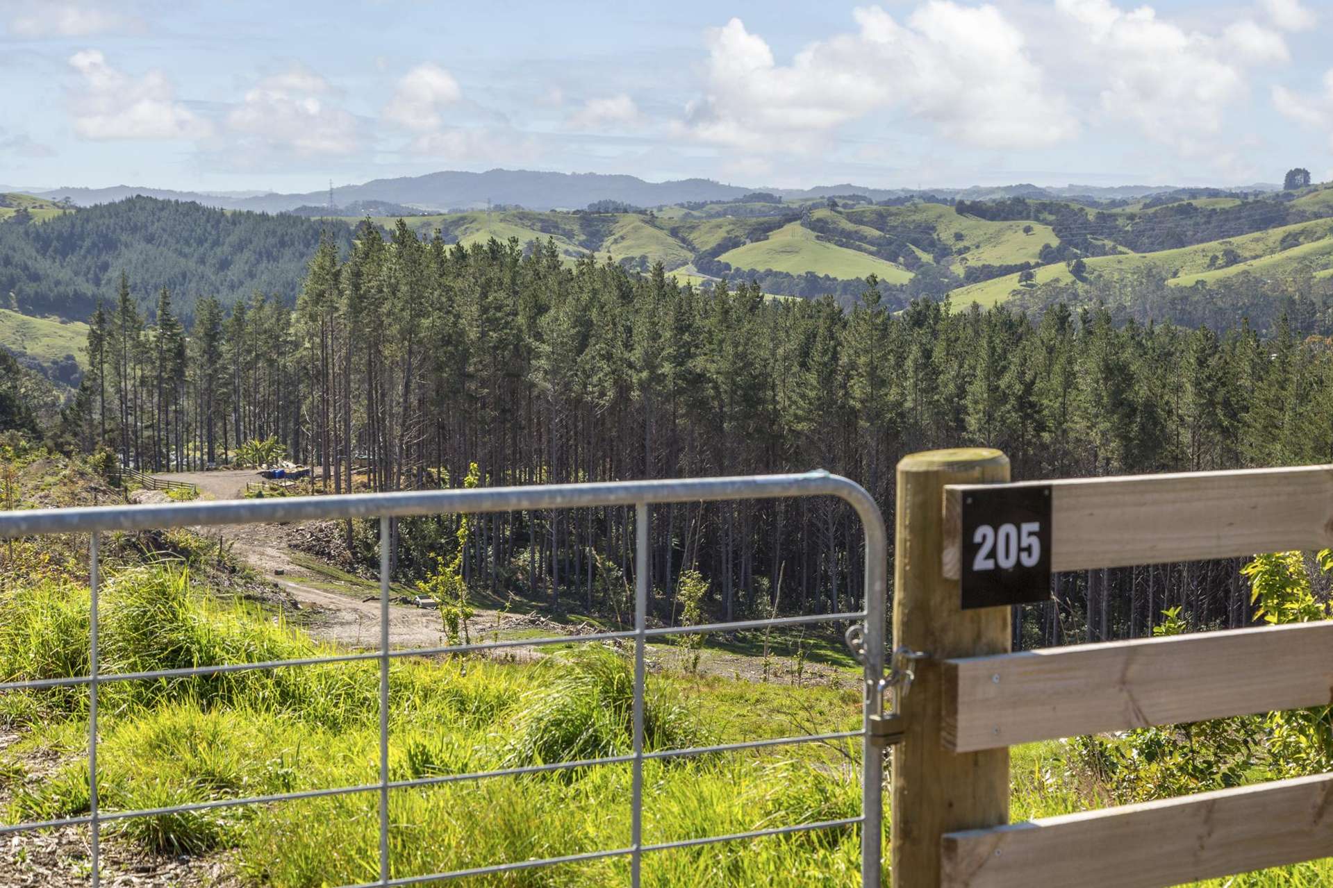 205 Wishart Road Helensville_0