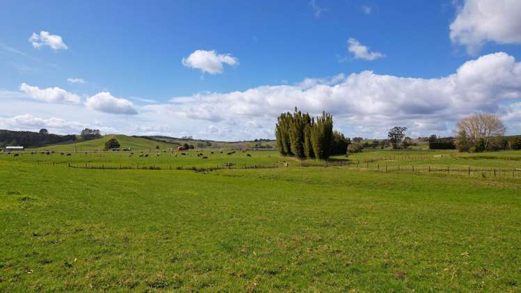 Lot Lot 1 Marshall Road Pakaraka_1