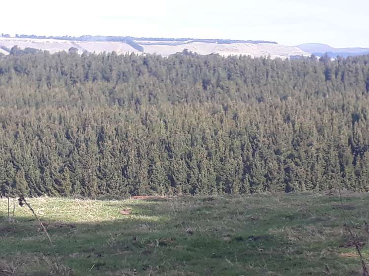 86 West Maerewhenua Road North Otago Surrounds_6