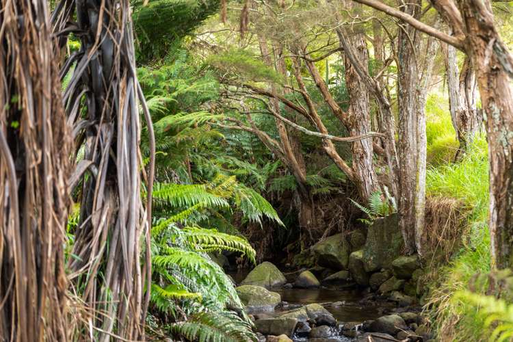 71 Mangotahi Road Thames_15