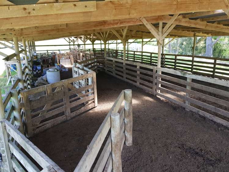 821 Waitetuna Valley Road Raglan_21