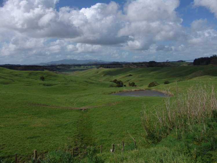 259 Arapohue Road Dargaville Surrounds_13