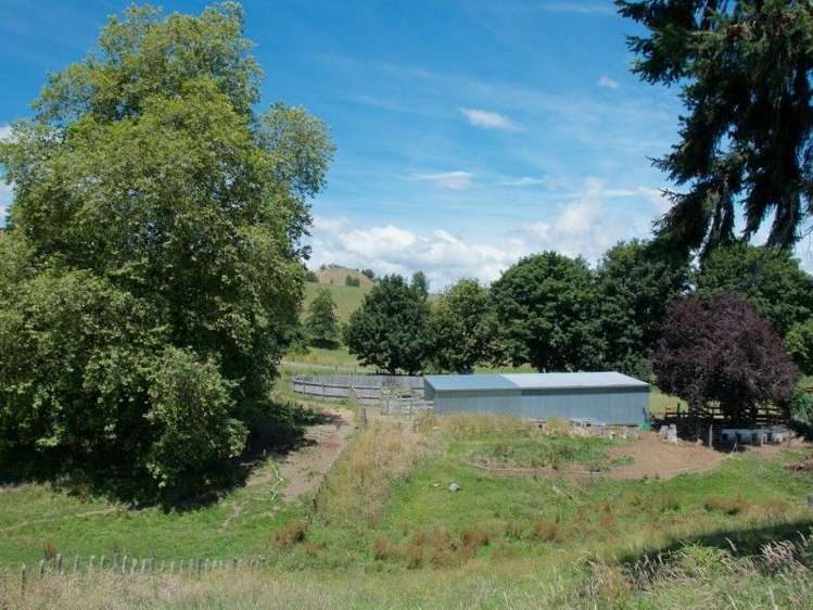 101 Papakai Road Taihape and Surrounds_25