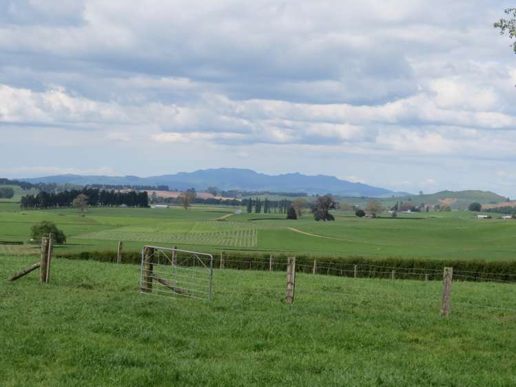 52 Burr Road Otorohanga_13