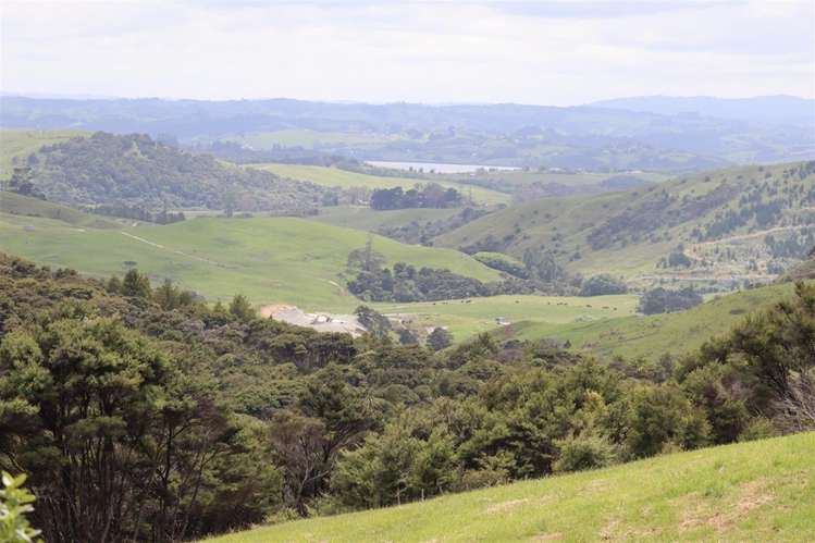 60 Summer Road Tinopai_10