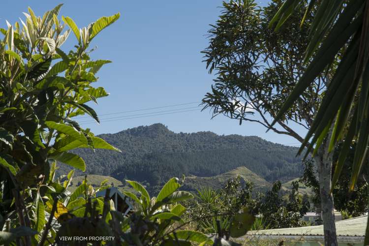 122 Parry Palm Avenue Waihi_13