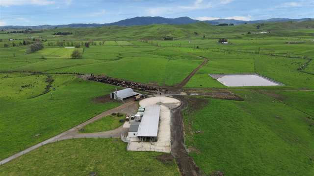 180 Manuel Road Morrinsville_1