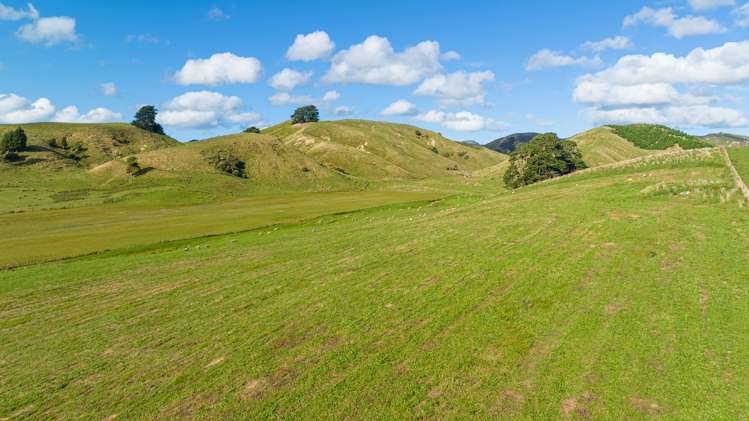 Kaitawa Road Pahiatua_5