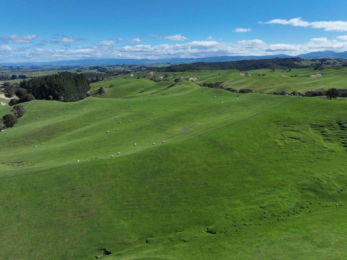 2829 Puketitiri Road_0