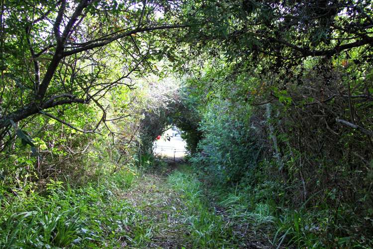 32 Beach Road Mangonui_8