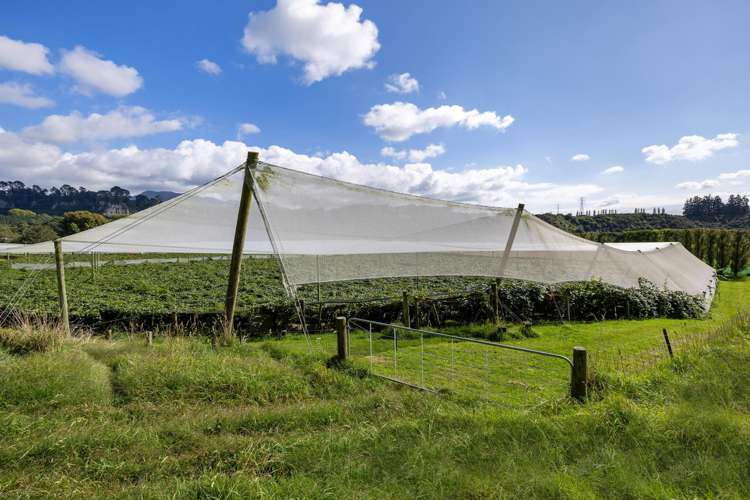 1151 Oreipunga Road Maungatautari_24