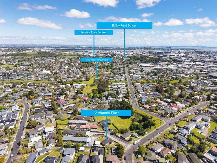 12 Almond Place Mount Wellington_5