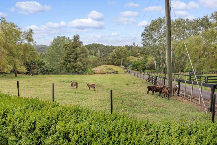 427 Ponga Road Opaheke_25