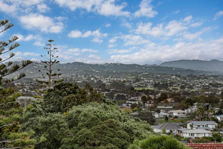 363C Richardson Road Mt Roskill_14