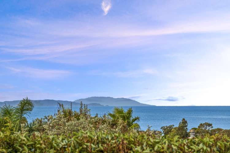 63 Brightside Road Stanmore Bay_2