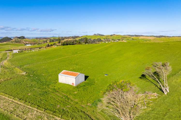 Lot 8 Mahuta Road Dargaville_8