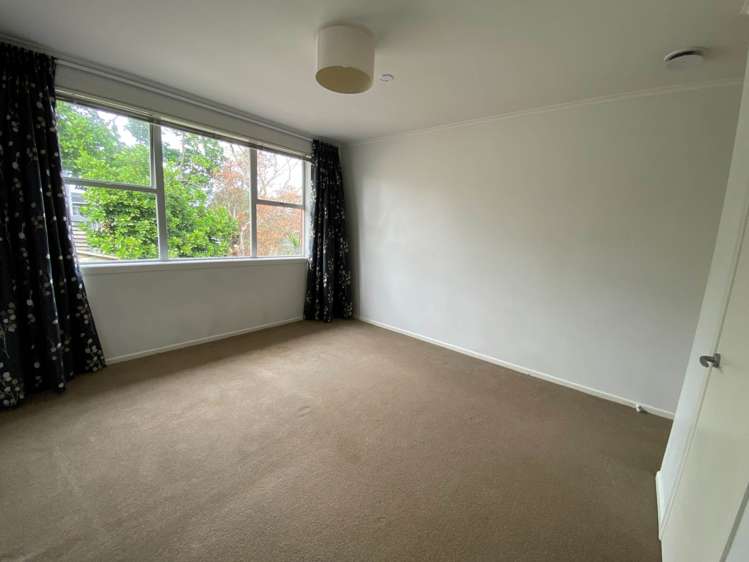 Bel Air Drive Hillsborough_9