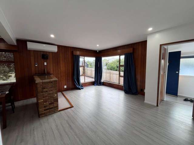 Withers Road Glen Eden_3