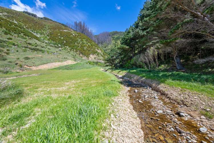 815 Manaroa Road Marlborough Sounds_19