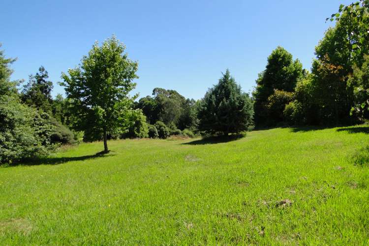 99 Dawson Road Upper Moutere_5