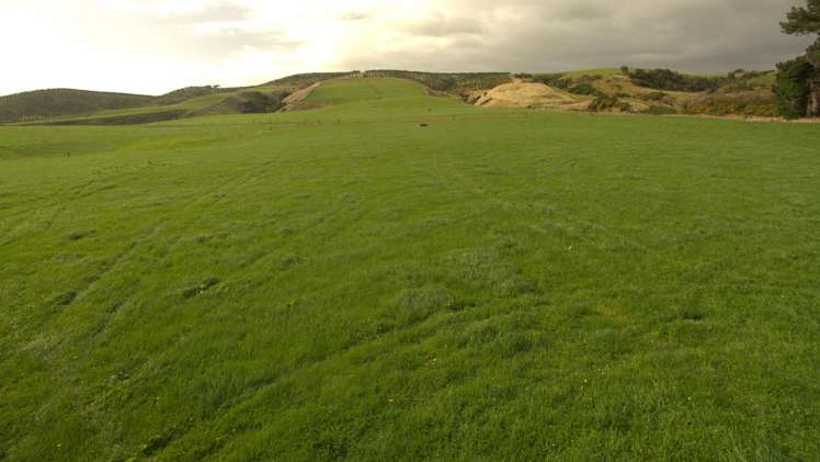 90A Mataura Island Factory Road Mataura Island_11