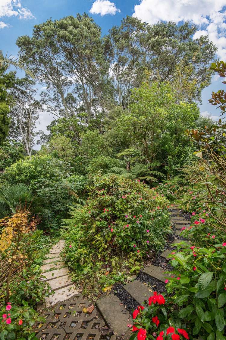 9 Belfast Street Hillsborough_5