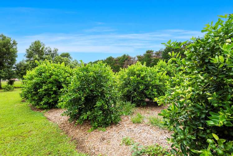 494 Mangakahia Road Maungatapere_25