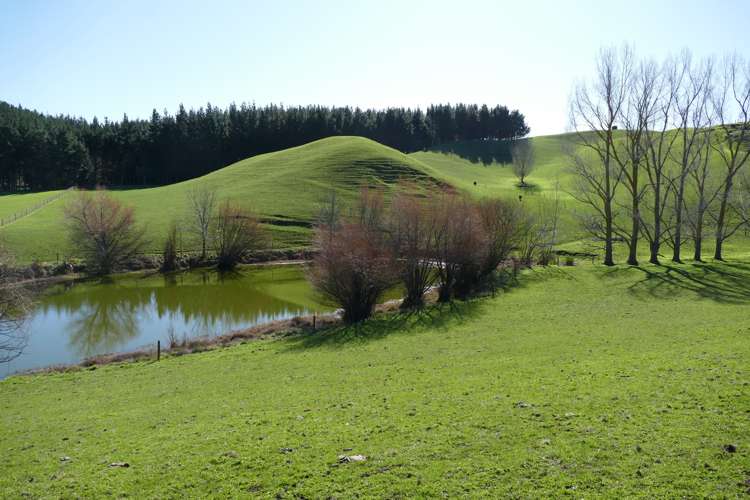 712 Matapiro Road Crownthorpe_16