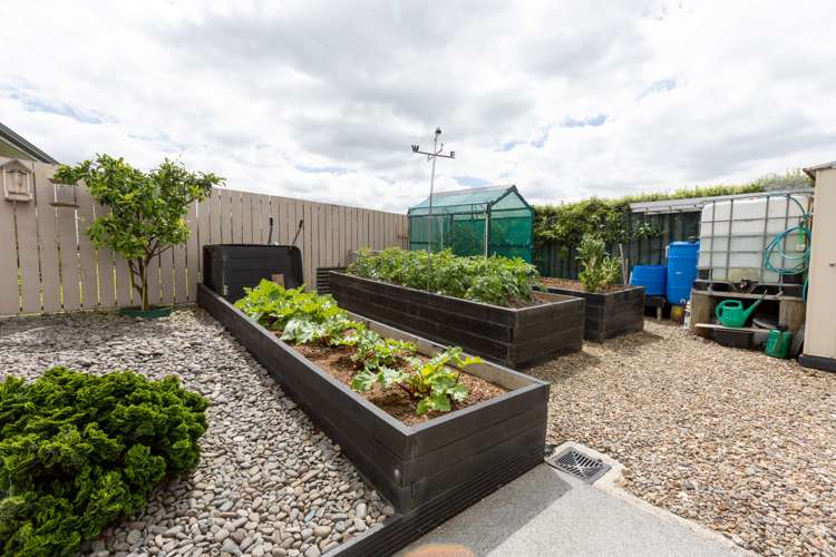 5 Rata Lane Paeroa_12