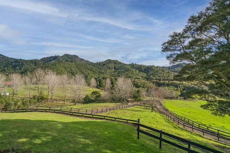 495 Mill Creek Road Kaimarama_19