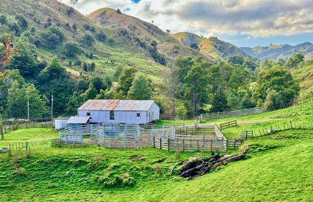 'Kereru Farm', Small farm - big opportunity