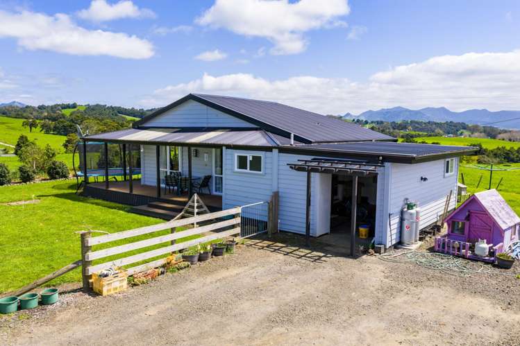 Mangakahia Road Titoki_9