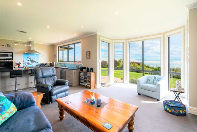 876 Blueskin Road Mount Cargill_5