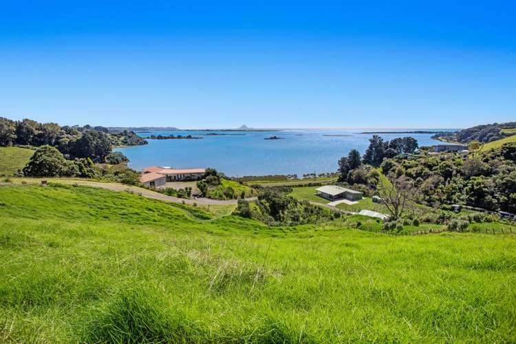 65b Reeves Road Opotiki and Surrounds_11