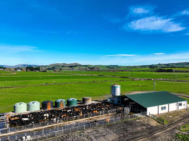 Scale Dairy with Production Upside