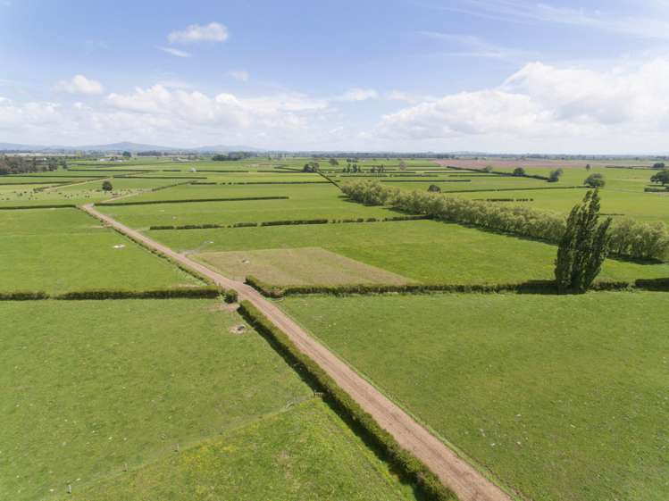 183 Waghorn Road Wardville_3