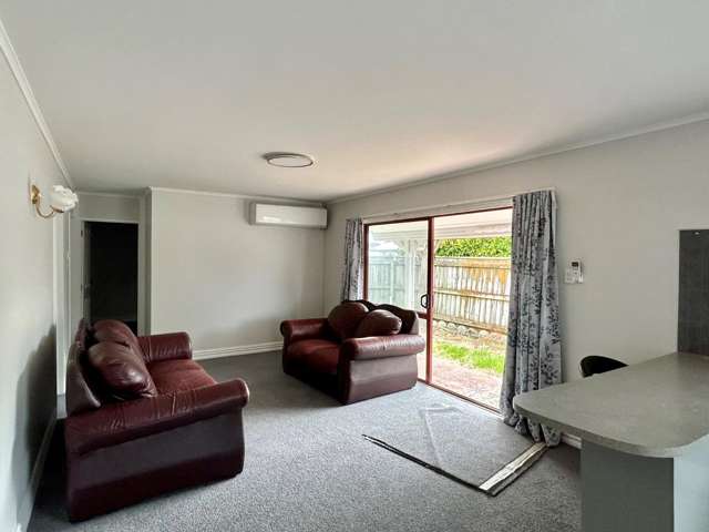 2/5 McGrath Street Napier South_1