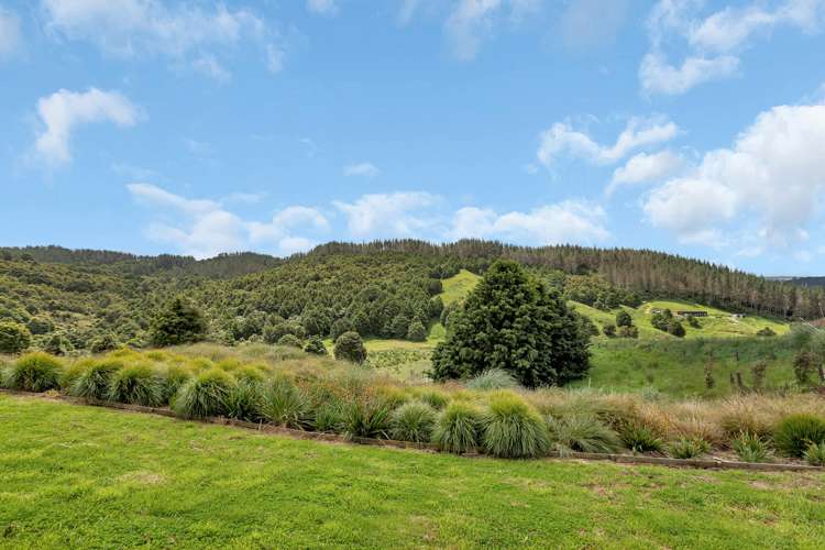 2568e Paparoa-Oakleigh Road Paparoa_13