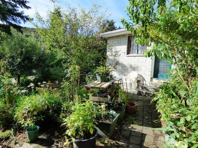 384 Whitecliffs Road Whitecliffs_5