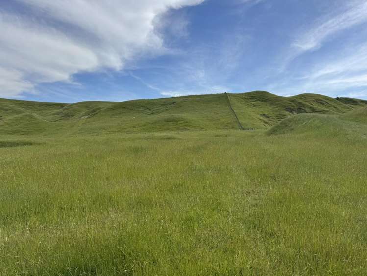 302 Bruce Road Turakina_1