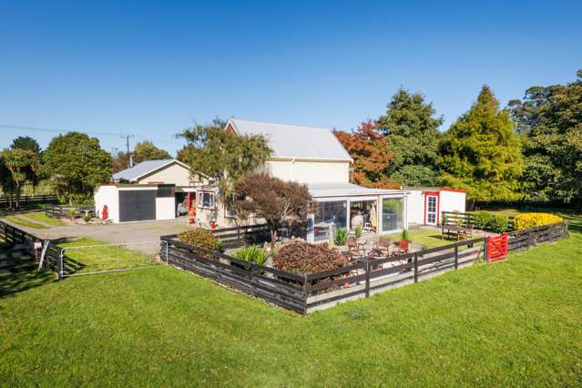 116 North Street Ashhurst_2