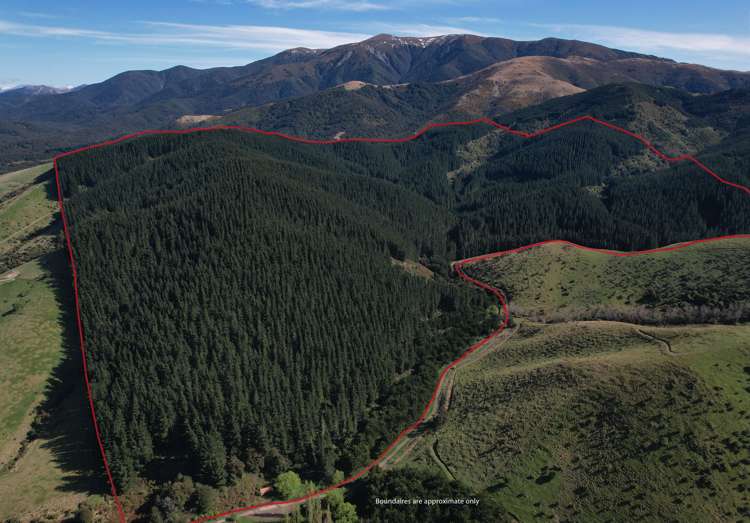 245 Sladdens Bush Road Oxford_19